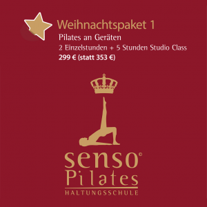 Senso Weihnachtspaket 1