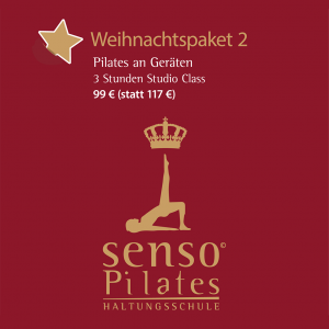 Senso Weihnachtspaket 2